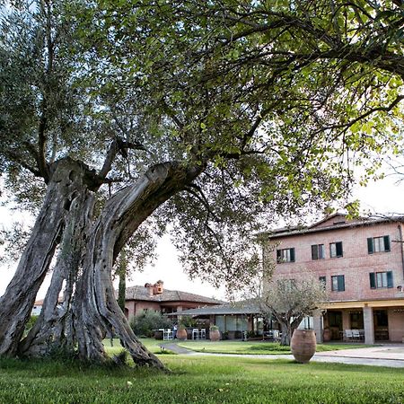 Locanda Poggioleone Castiglione del Lago Exteriör bild
